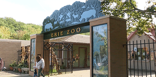 Erie Zoo, Erie Events looking into partnership to fund expansion