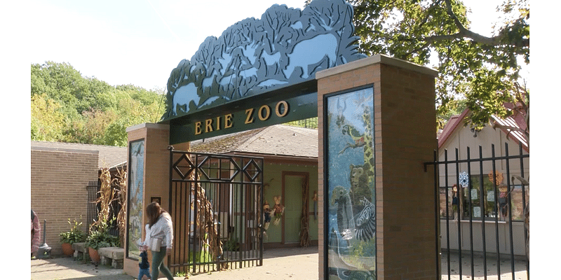 Erie Zoo, Erie Events looking into partnership to fund expansion