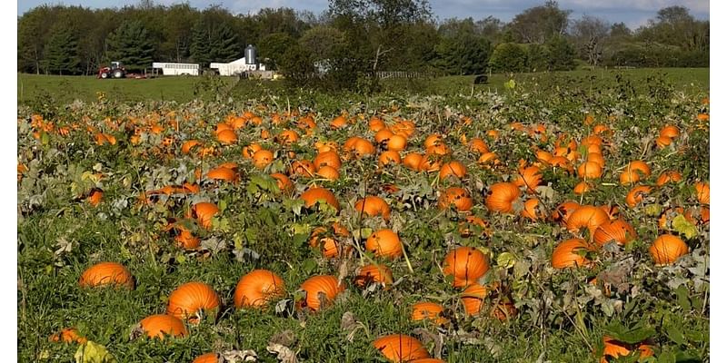 Fall scene wins photo club landscape challenge