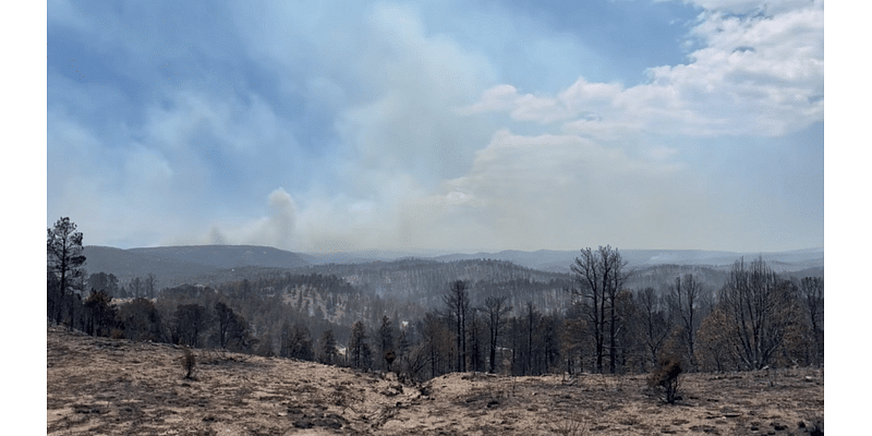 U.S. Forest Service to close areas of South Fork burn scar for reseeding efforts