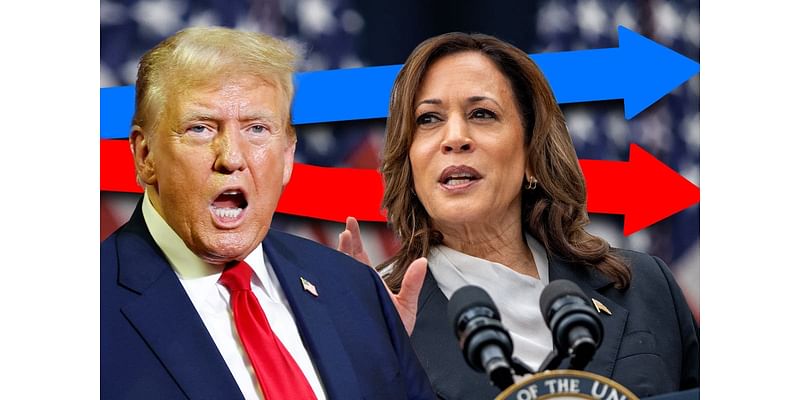 Harris vs Trump: Who’s leading in the presidential polls