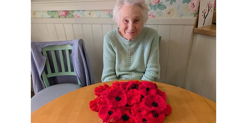 Wakefield care home call local crafters to create poppies for Remembrance Day display