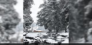 After Kashmir's First Snowfall Of 2024, 5 Delightful Snow Activities To Try