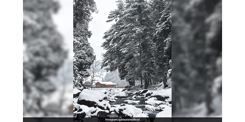 After Kashmir's First Snowfall Of 2024, 5 Delightful Snow Activities To Try