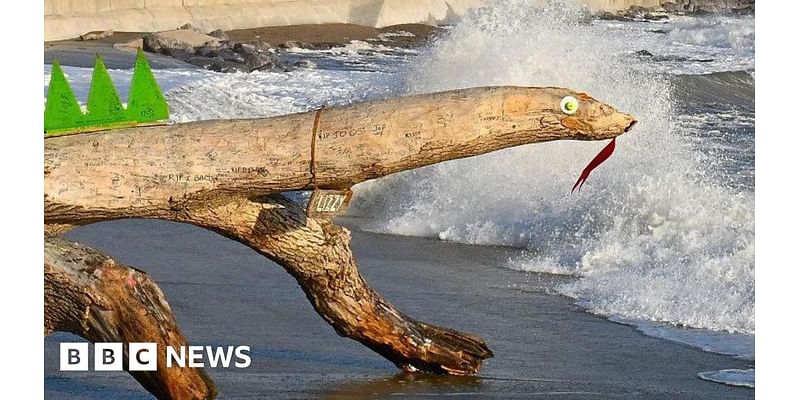 Porthcawl: Fight to save Lizzy 'logness monster' lizard from sea