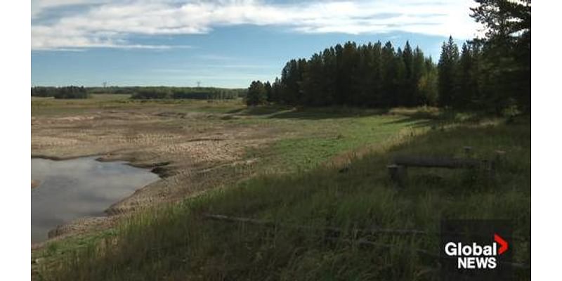 Concern over dead fish, low water levels in reservoir southwest of Edmonton