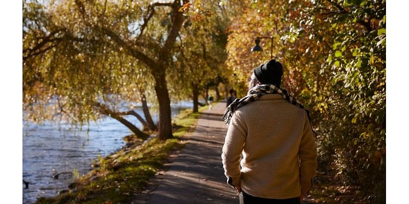 Feeling stressed this week? A walk outside can help