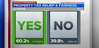 Illinoisans vote on 'millionaire tax' advisory referendum