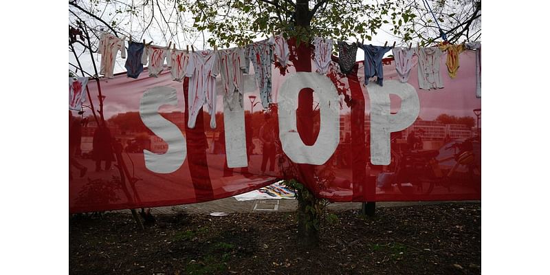 Police probe suspected hate crime after paint thrown on north London building