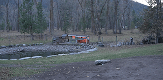 Bird flu detected in chicken flock east of Missoula