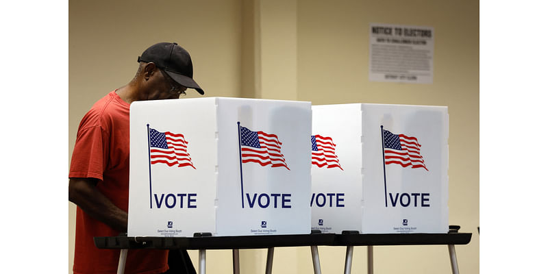 One in 3 Americans Worry Their Vote Will Be Made Public