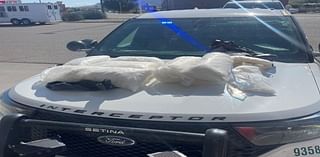 MCSO seizes 60 pounds of narcotics in Fruita