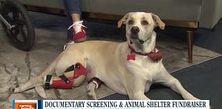 Documentary screening raises funds for Churchill Animal Protection Society