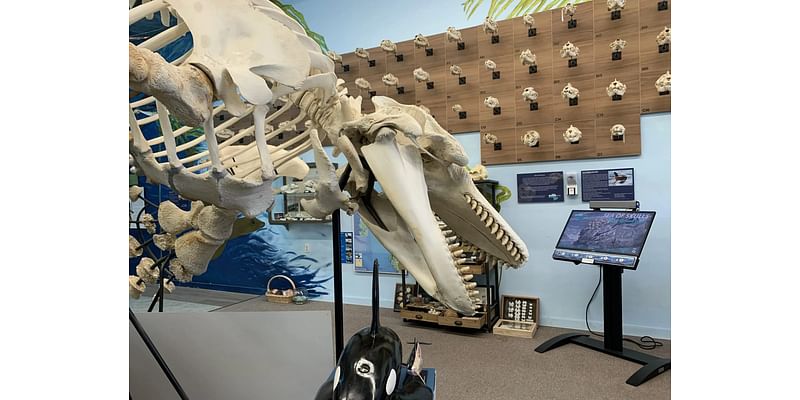 This Northern California marine center leads the way in ocean conservation and education