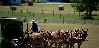 Amish are the most reliably Republican group in the country [The Scribbler]