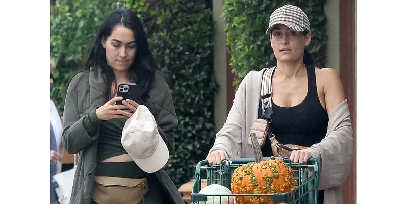 Nikki Garcia Seen Without Wedding Ring While Shopping with Sister Brie amid Divorce from Artem Chigvintsev