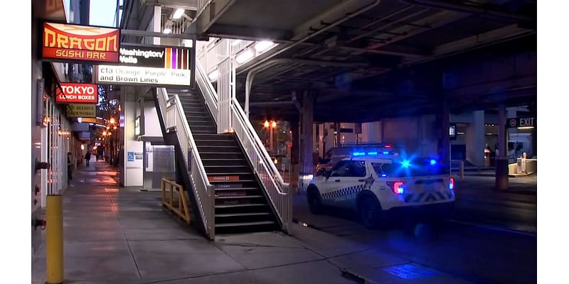 CTA delays expected following stabbing on train in Loop