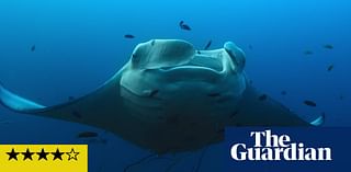 Our Oceans review – Barack Obama’s nature show might be the most beautiful thing you see all year