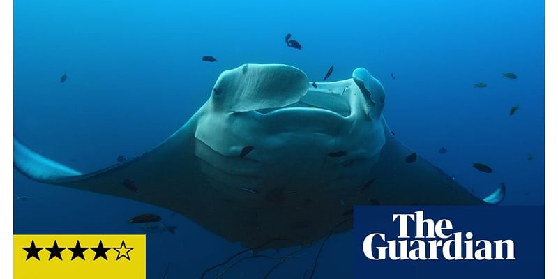 Our Oceans review – Barack Obama’s nature show might be the most beautiful thing you see all year