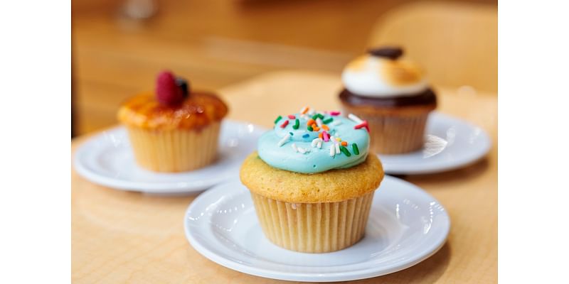 Molly’s Cupcakes brings award-winning flavors to downtown Ann Arbor