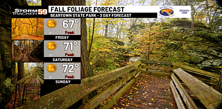 Chilly mornings but plenty warm afternoons ahead