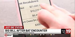 Shaker Heights couple faces $12,000 bill after bat encounter