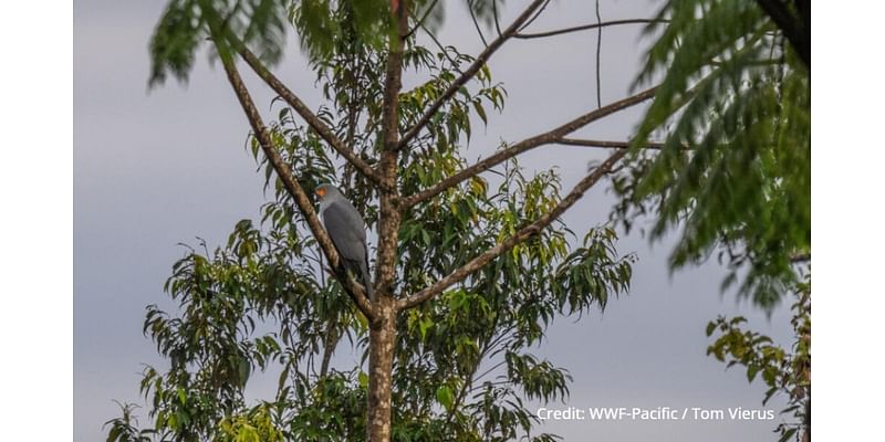 Look! First-known photo of rare ‘lost species’ captured on island