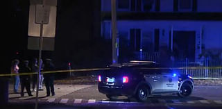 DA identifies woman fatally struck by car in Norwood - Boston News, Weather, Sports