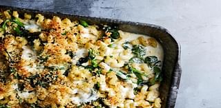 Four weeknight dishes and baked alfredo pasta