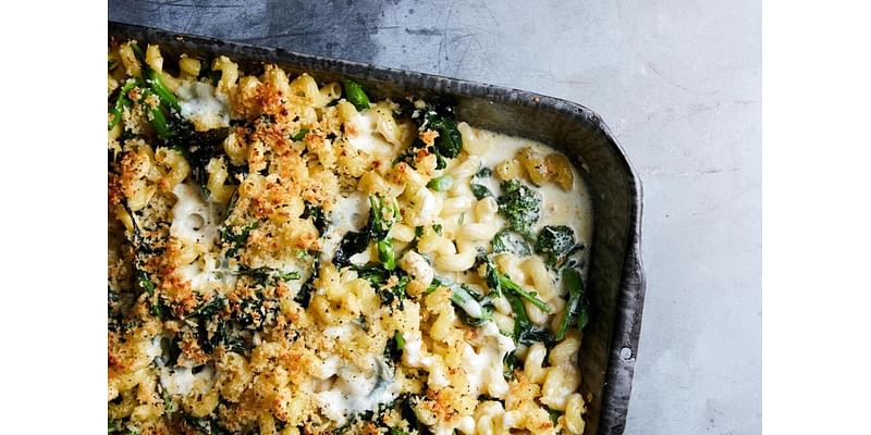 Four weeknight dishes and baked alfredo pasta