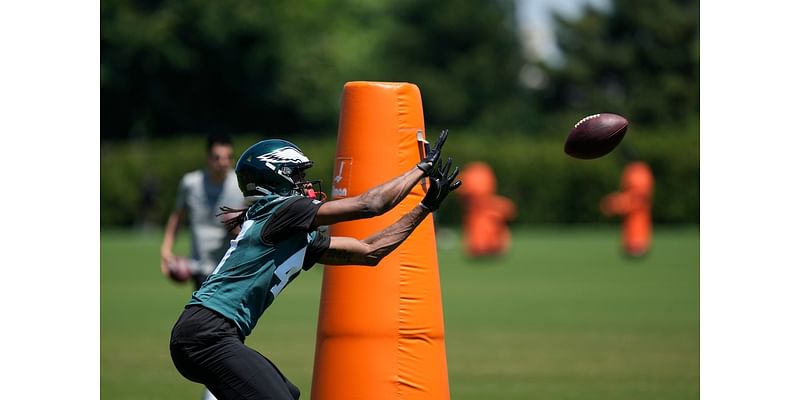 Pittsburgh Steelers cut ties with big-bodied former Eagles WR