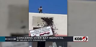 Video of man removing bats behind sign sparks controversy