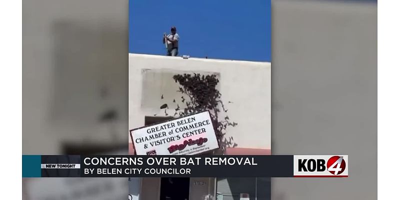 Video of man removing bats behind sign sparks controversy