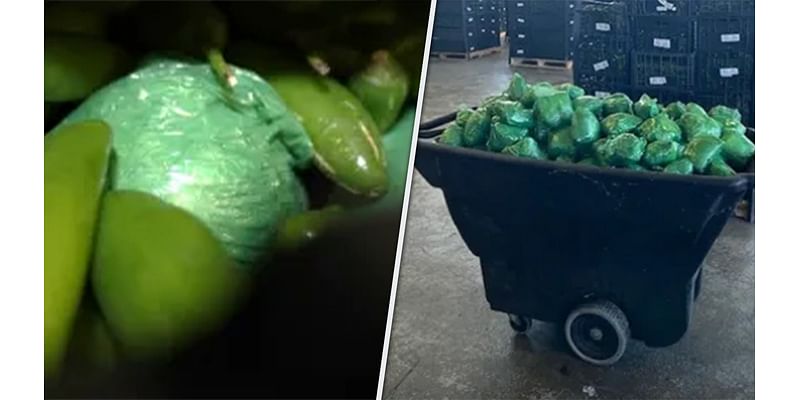 More than $31M in meth concealed in shipment of peppers seized at Texas-Mexico border