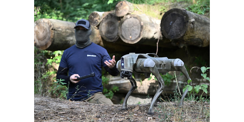 Video Shows Ukraine's New Drone-Dropped Robot Dog in Action