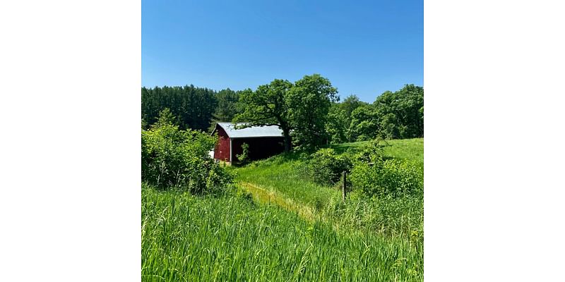 Rural voters help flip Wisconsin to Trump