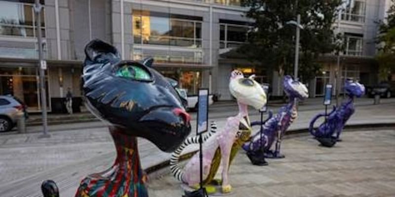 Downtown Portland’s Curious Cat trail auction raises over $324K for kids hospital