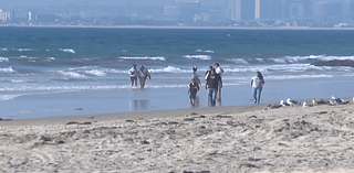 Imperial Beach Shoreline reopens