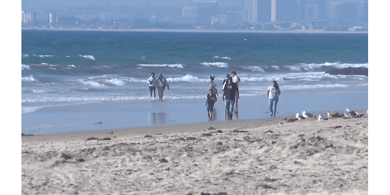 Imperial Beach Shoreline reopens