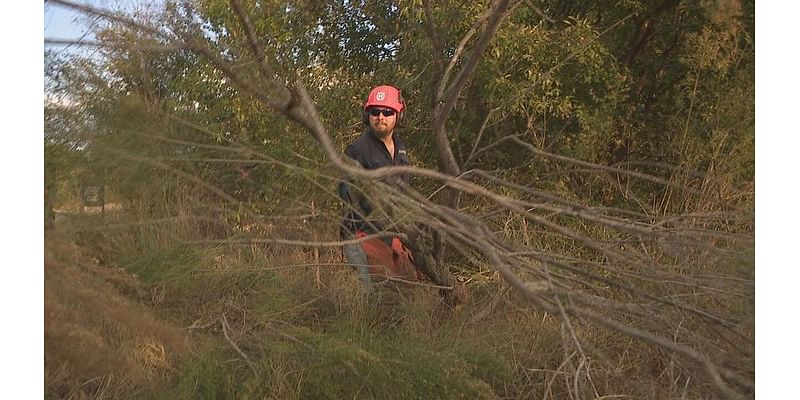 SA River Authority clears trees from river in prep for flooding