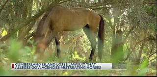 Cumberland Island horses to remain wild