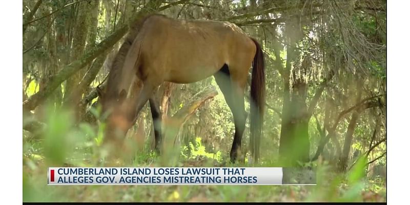 Cumberland Island horses to remain wild