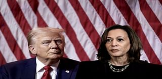 Kamala Harris' rise triggered a primordial rage in Donald Trump. Expect him to ramp up the racism