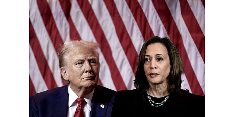 Kamala Harris' rise triggered a primordial rage in Donald Trump. Expect him to ramp up the racism