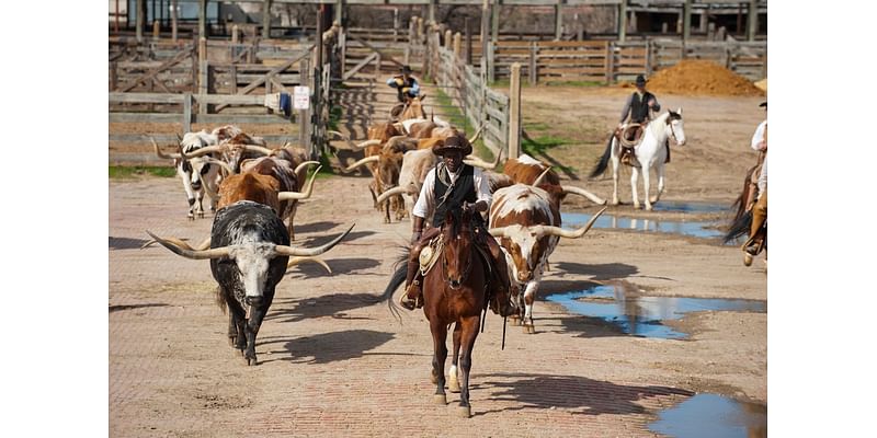 City Council Approves Fort Worth Herd Facility Upgrades