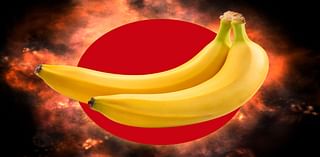 Your Favorite Bananas Are Rapidly Going Extinct – but Scientists Say You Can Help Stop It