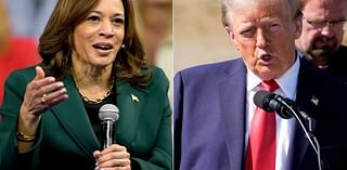 Canada prepares for U.S. election. What a Trump or Harris win could mean - National