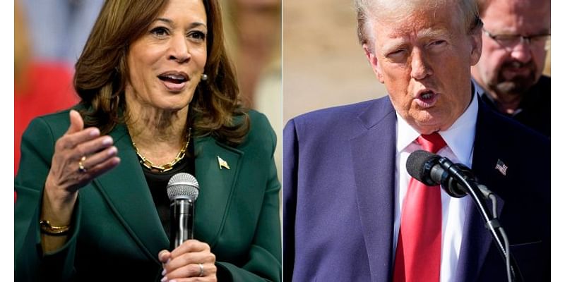 Canada prepares for U.S. election. What a Trump or Harris win could mean - National