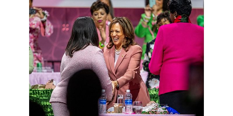 Why Kamala Harris’ Famous Sorority Hasn’t Endorsed Her