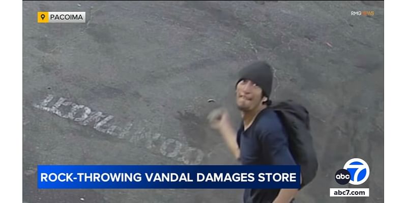 Man arrested after caught on video throwing large rocks at Pacoima business